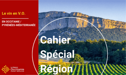 Cahier Spécial Région | Le vin en V.O.