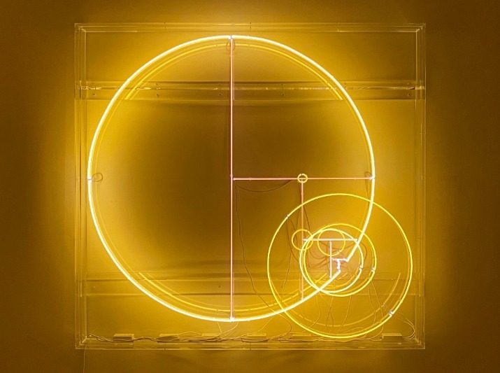 Divisions (Salmon Rose Lines and Novial Gold Circles) © Carsten Höller, ADAGP, Paris - 2023