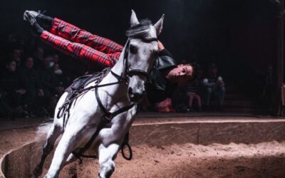 Tarbes : le festival Equestria ouvre ses portes au Haras du 18 au 23 juillet