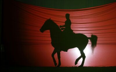 Avignon : les arts équestres à l’honneur de Cheval Passion du 17 au 21 janvier