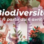 Toulouse : « Biodiversité », nouvel espace d’exposition permanent à découvrir au Muséum à partir du 6 avril