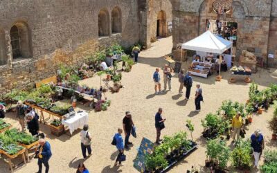 Narbonne : Fête des plantes et du massif à l’abbaye de Fontfroide ce week-end