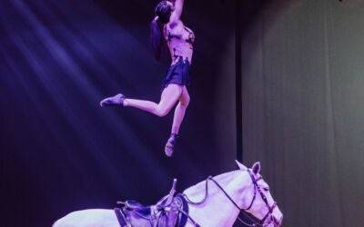Tarbes : 28ᵉ édition du Festival « Equestria », du 16 au 21 juillet
