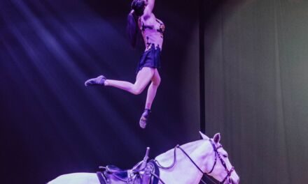 Tarbes : 28ᵉ édition du Festival « Equestria », du 16 au 21 juillet