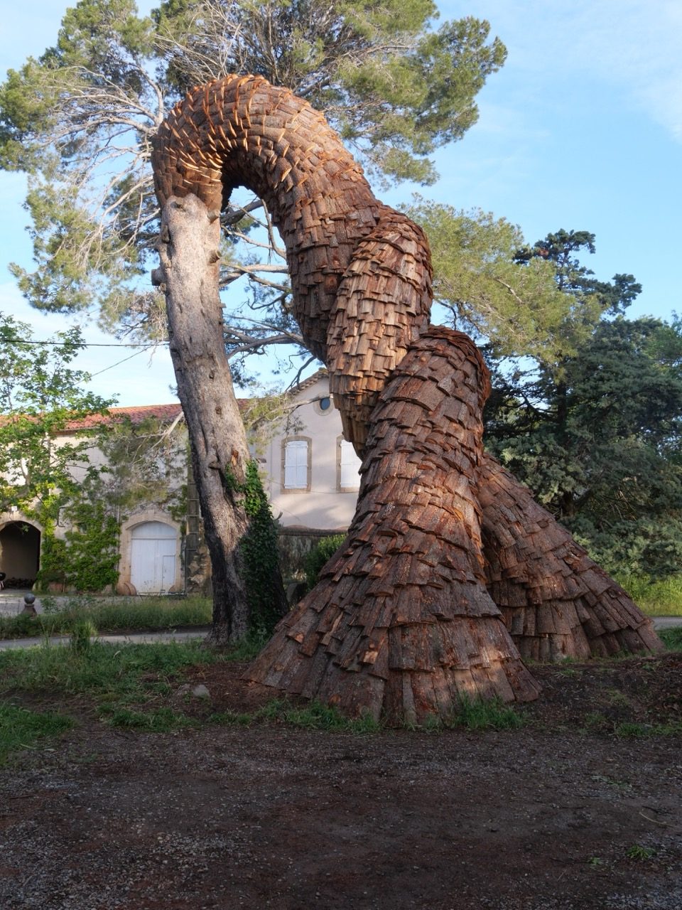 Sculpture, Bois d'Ente de Simon Augade