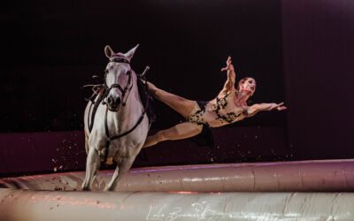 Tarbes : les arts équestres à l’honneur du festival Equestria du 16 au 21 juillet