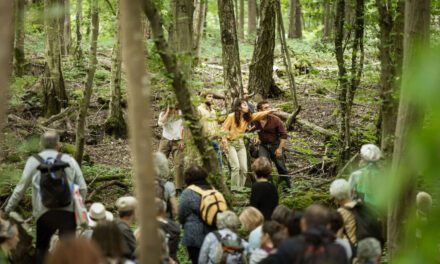 Lot et Aveyron : « Travèrs », une programmation artistique le long du GR®65, jusqu’au 29 septembre