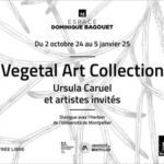 Montpellier : « Végétal art collection », une exposition à l’espace Bagouet jusqu’au 5 janvier