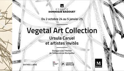 Montpellier : « Végétal art collection », une exposition à l’espace Bagouet jusqu’au 5 janvier