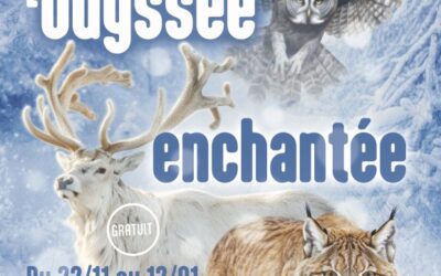 Canet-en-Roussillon |  « Canet Odyssée Enchantée », une exposition immersive pour les fêtes à découvrir jusqu’au 12 janvier