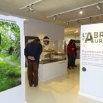 Aurignac | Le musée de l’Aurignacien rouvre ses portes le 1er février